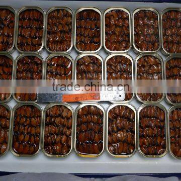 High Quality Canned Mussels in Garlic Butter photo-3