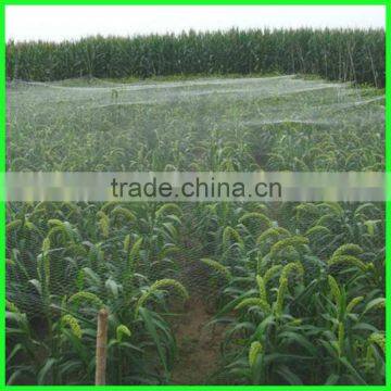High Quality Virgin HDPE Crops Top Cover Anti-bird Stretch Net photo-6