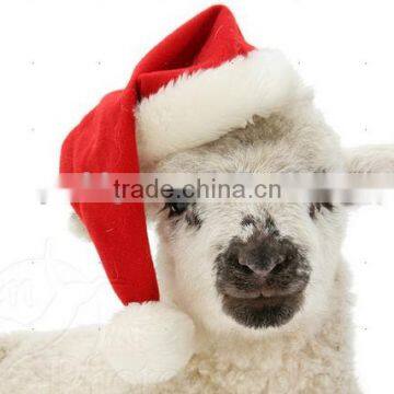 Christmas Santa Hat , Snapback Hat For Christmas,Mini Christmas Santa Hats