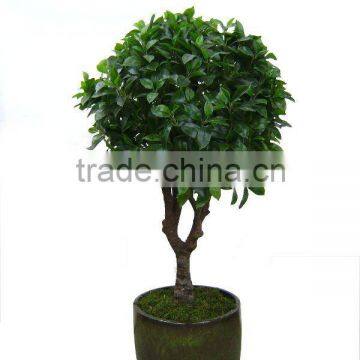 Artificial Plant/Artificial tree