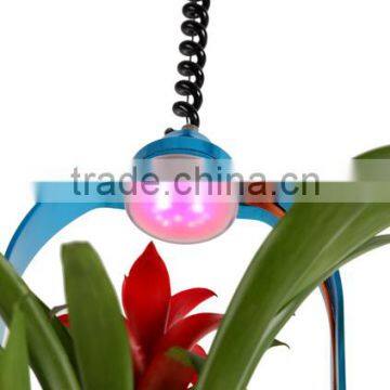 LED Decoration Light With Plant photo-5