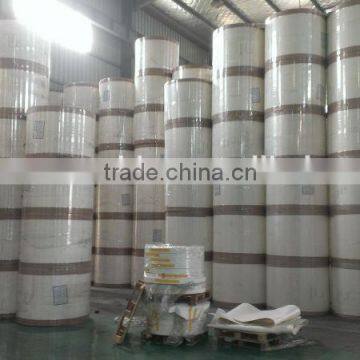 5A grade paper cup raw material price in india