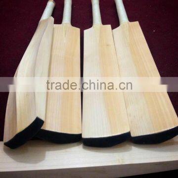 cheap cricket bats , high quality cricket bats , plain cricket bats