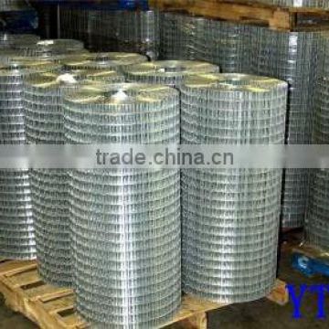 GI Welded Wire Mesh factory