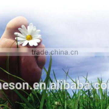 Ozone Dryer Machine and Shoe Dryer With Electric Heated Shoes photo-6