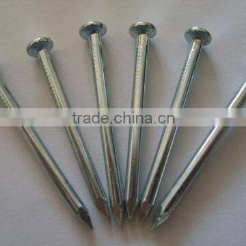 High harden low price stainless galvanized concrete nails with spiral shank