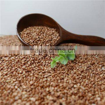 High Quality Roasted Buckwheat Kernel Price photo-3