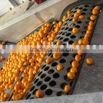 Sweet Nanfeng Orange