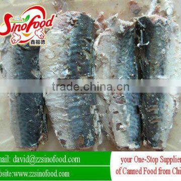 canned mackerel in tin