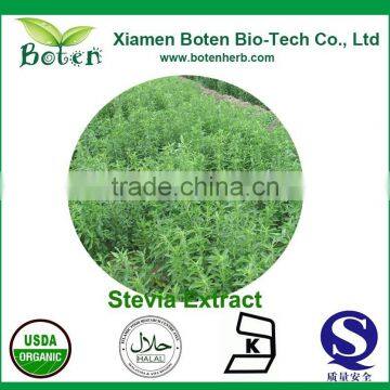 Nature Stevia Powder stevia reb 97%-powder