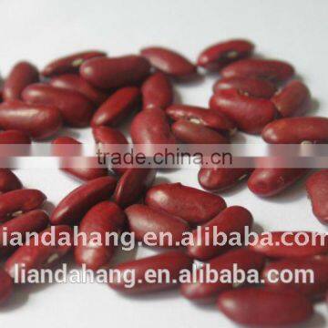 The Newest Crop england red kidney beans