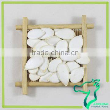 Snow White Pumpkin Seeds Market Price Supplier