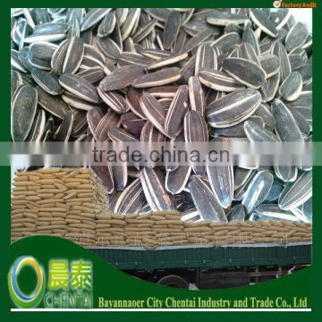 China The Biggest Export Factory Sunflower seeds Suppliers