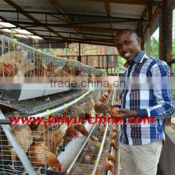 TAIYU Farm Machines for Laying Hens photo-6