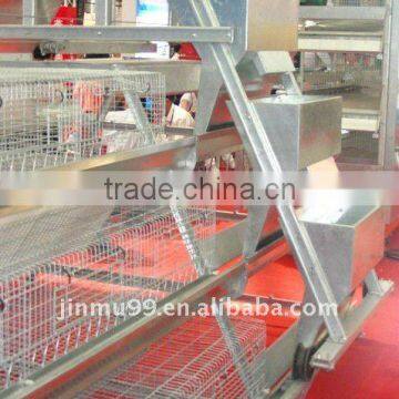 a type automatic chicken feeding system