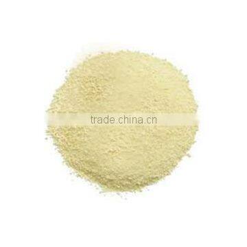 Vietnam matcha onion Allium powder