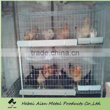 H type and A type broiler battery cage