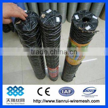 PVC Coated Galvanized Hexagonal Wire Netting /hexagonal Wire Mesh photo-3