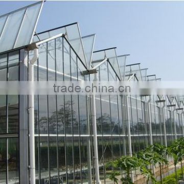 Galvanized Steel Frame Large Glass Agricultural Greenhouses