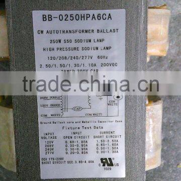 Three / Four / Five Tap Supply Voltage HPS High Pressure Sodium Lamp CWA HID Magnetic Ballast Kit for Flood Light / Street Light photo-3