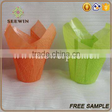 Bopp Plastic Flower Pots and Cheap Plastic Flower Pots photo-4