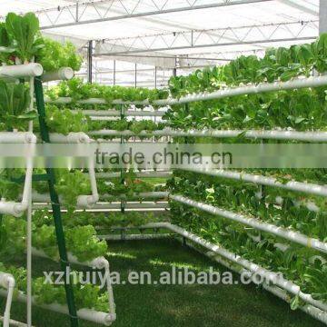 no Soil Culture Substrates Seeding Planting Sponge for Seeds Growing