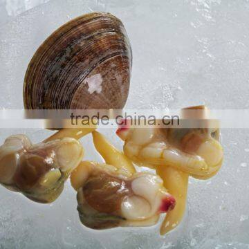 IQF Surrf Clam/short Necked Clam Meat photo-2