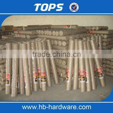 Hexagonal Wire Mesh, Chicken Poultry Farms Fence photo-5