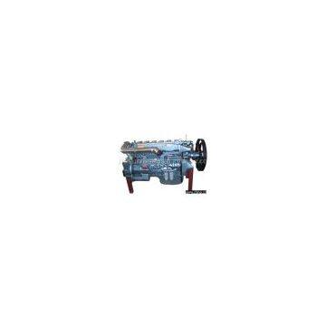 Engine for HOWO Truck