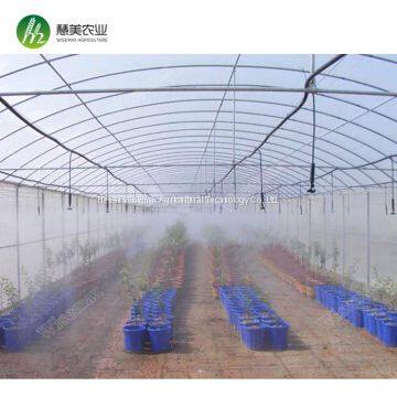 Commercial 200 micron uv resistant plastic film mini greenhouse for tomato