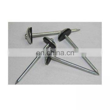 twist umbrella head galvanized roofing nail