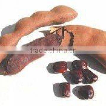 TAMARIND