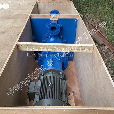 100RV-SP Vertical Slurry Pump with motor