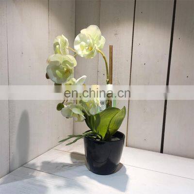 Amazon Hot Sale Beautiful Decorative Realistic Artificial Plastic Fake Orchid Plants for Restaurants photo-4