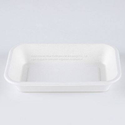 New Hot Disposable Biodegradable 24OZ TRAY Bagasse Food Box Take Away Sugarcane Container photo-3