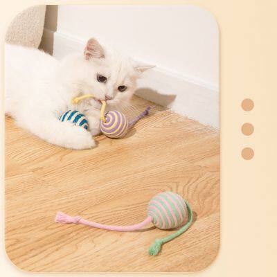 Pet Cat Toy