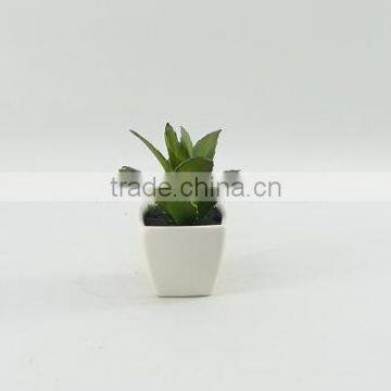 Best selling high simulation tropical plants artificial mini cactus plants