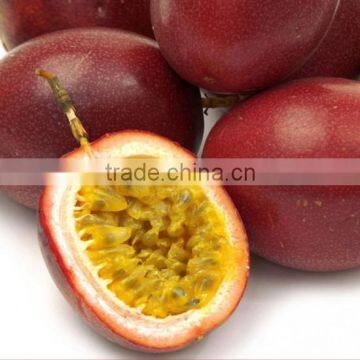 FRESH SEEDLESS PASSION FRUIT_FROM VIET NAM