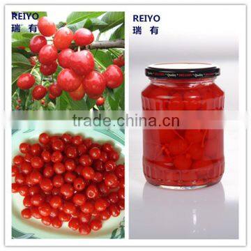 bulk canned food 425g cherry