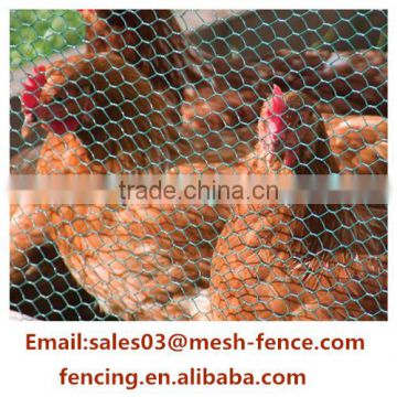 Hexagonal wire mesh 10mm/heavy duty chicken wire/chicken wire cage(XINLONG)