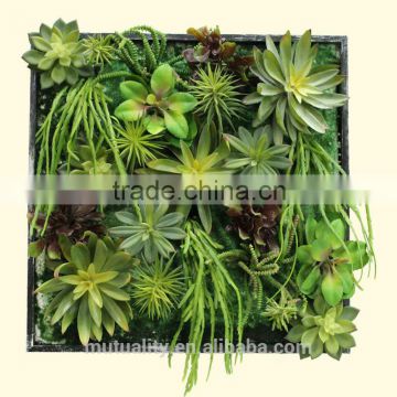 Beautiful Photo Frames Artificial Succulents Vertical plant wall