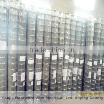 1/2"x1/2" welded wire mesh (hot sale)