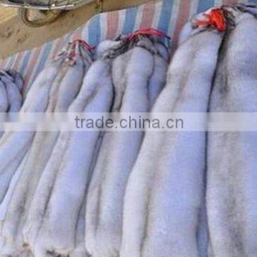 Wholesale blue fox animal pelt