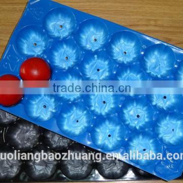 China Professional Manufacturer&Exporter FDA Approval Small Fruit Tray