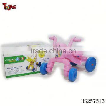 Baby Carrier
