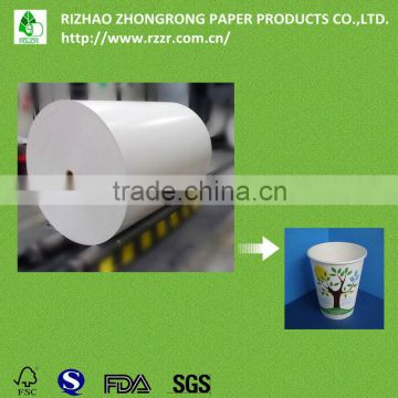 double side pe coated paper for cups