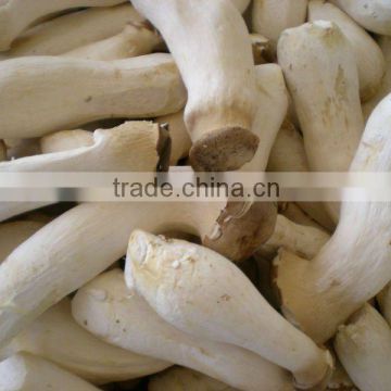 Brined Pleurotus Eryngii Whole