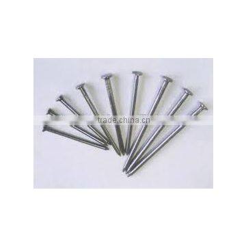 Low Price Good Quality Common Nail