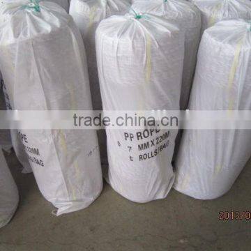 PP DANLINE ROPE photo-5