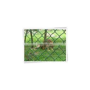 PVC coated chain link fence rolls ;chain link mesh